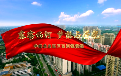 西河镇——汇报片
