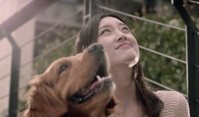 蓝光地产——形象宣传片